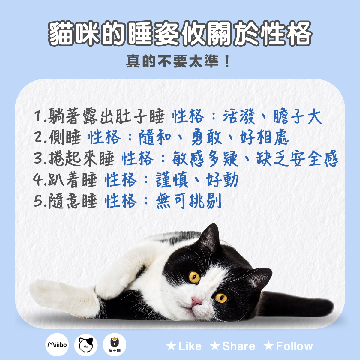 貓咪行為學】原來貓咪的睡姿與牠的性格有關，簡直不要太準! - 我怕世界沒有貓